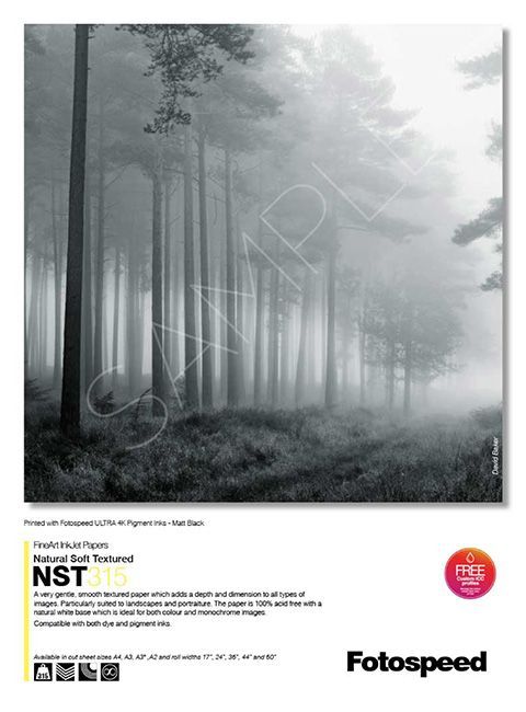 A black and white photo of a foggy forest
