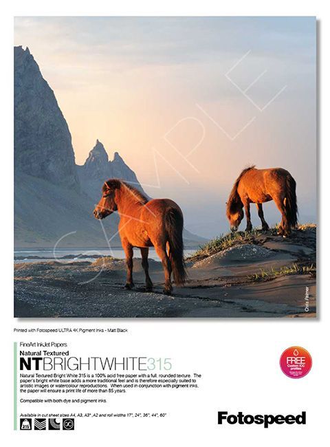 Two horses are standing on top of a rocky hill.