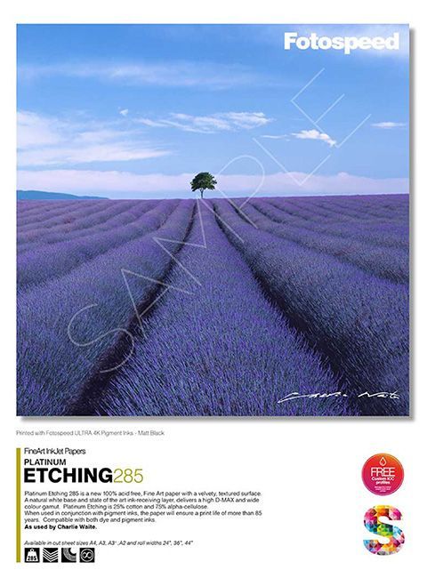 A purple field with a tree in the middle of it