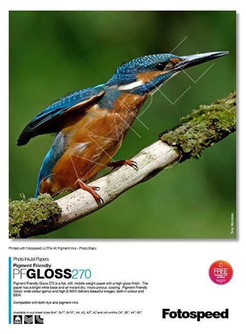 A bird is perched on a tree branch on a fotospeed paper