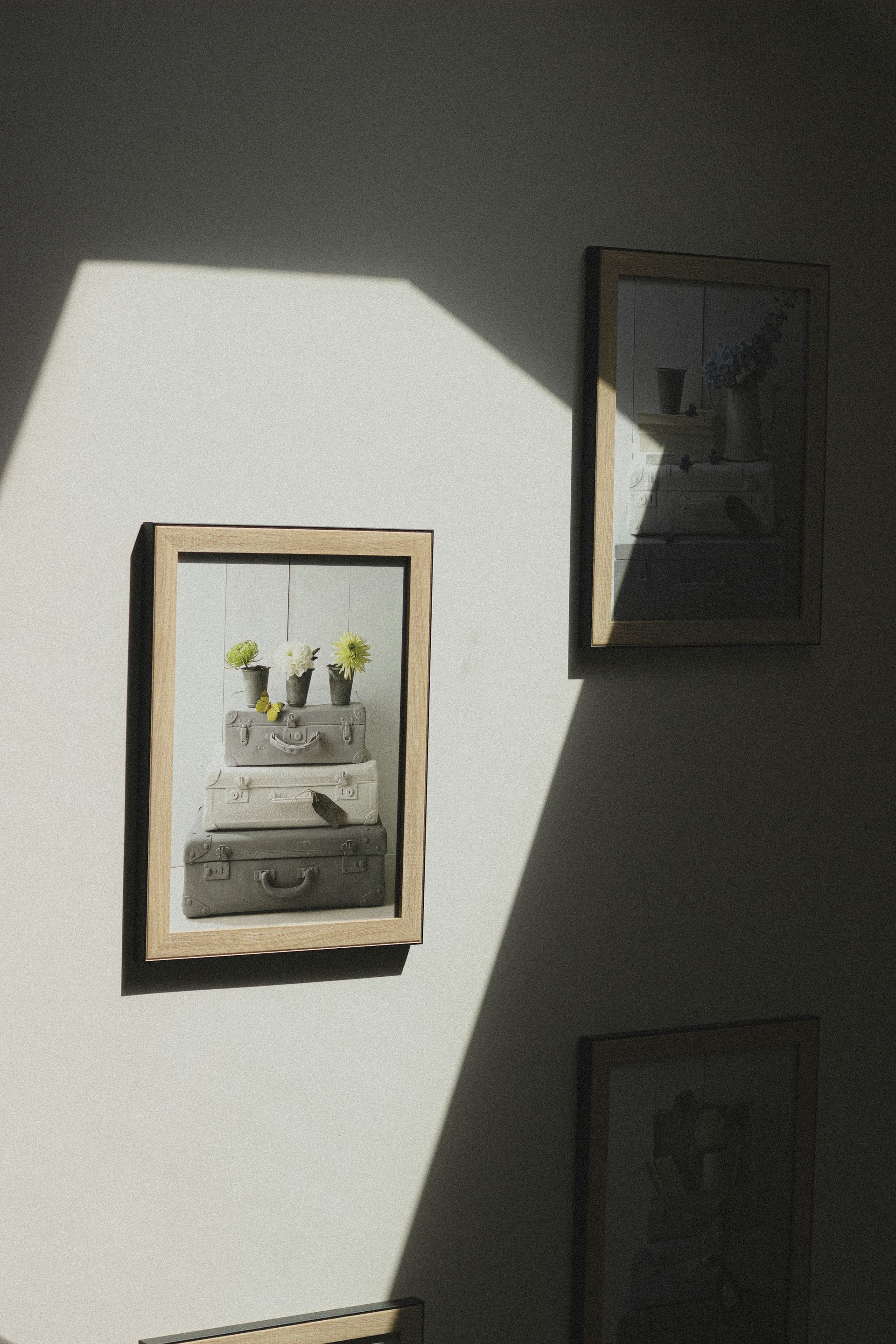 CLASSIC FRAMES image