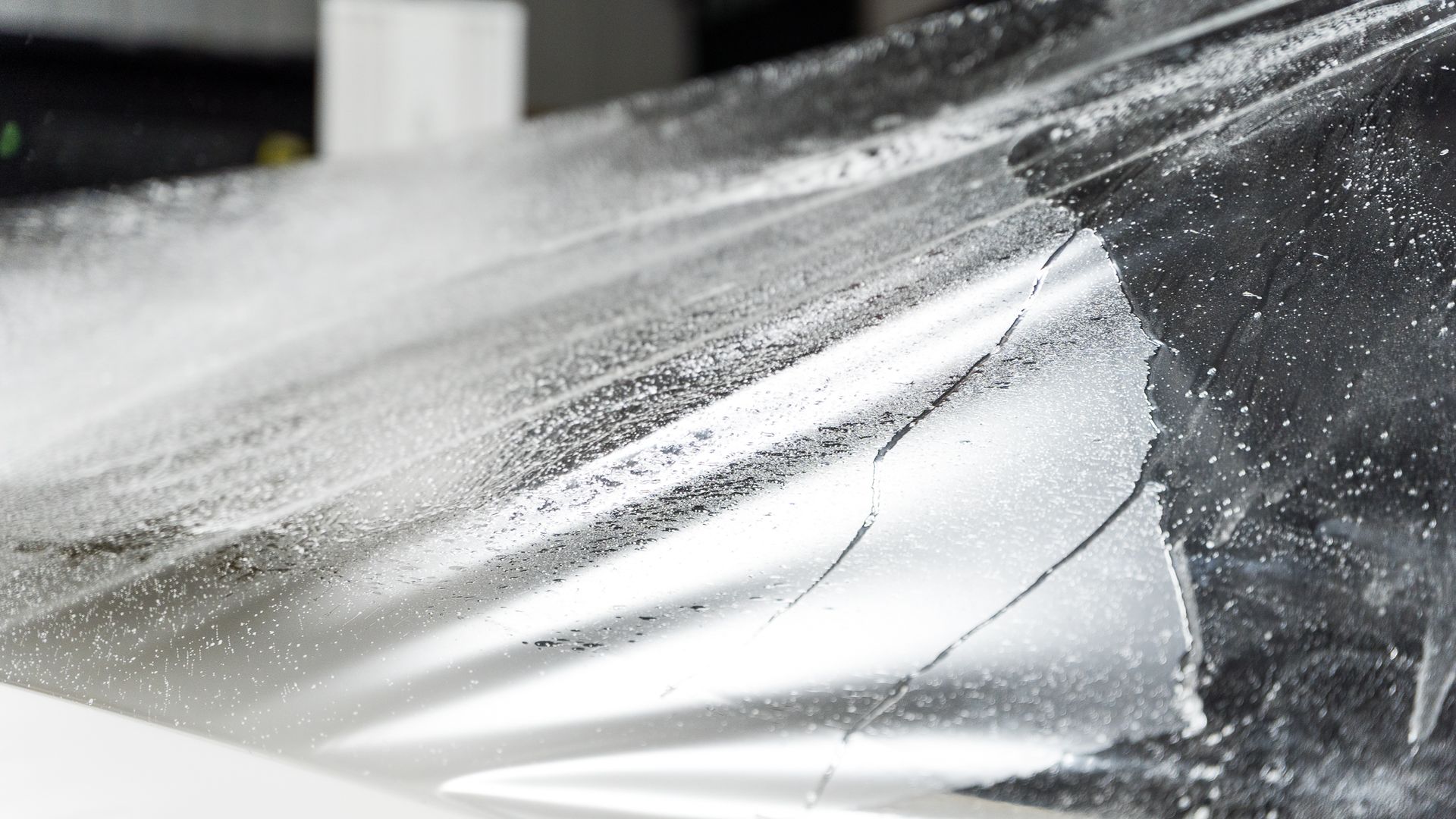 Paint Protection Film Services