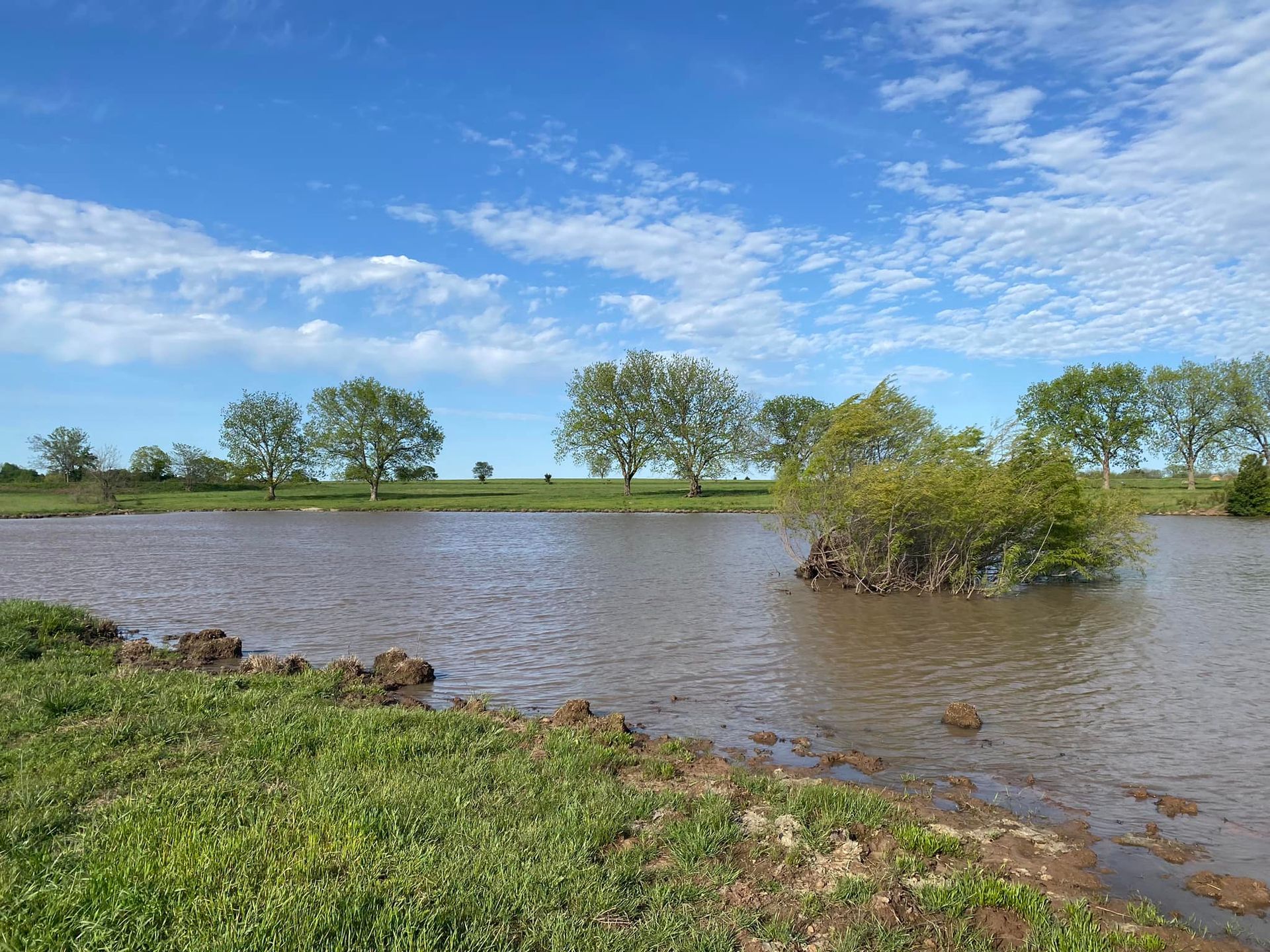 Pond with trees on the horizon under a cloudy blue sky. Green grass in foreground.