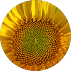 Avis Google 4, Mon Courtier Local, expert en crédits et assurances à Montsalvy, Cantal et Aveyron