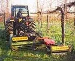 Gestione erbacce infestanti