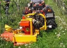 Gestione erbacce infestanti 2