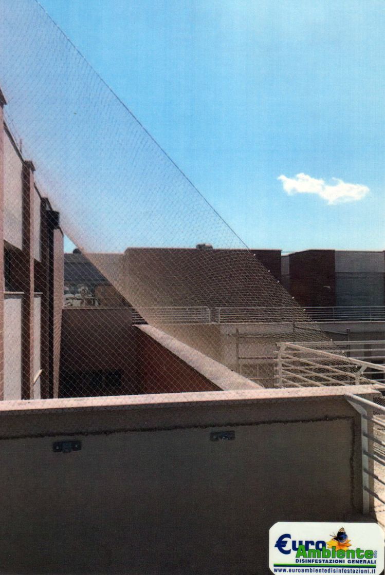 Dissuasore su terrazzo 2