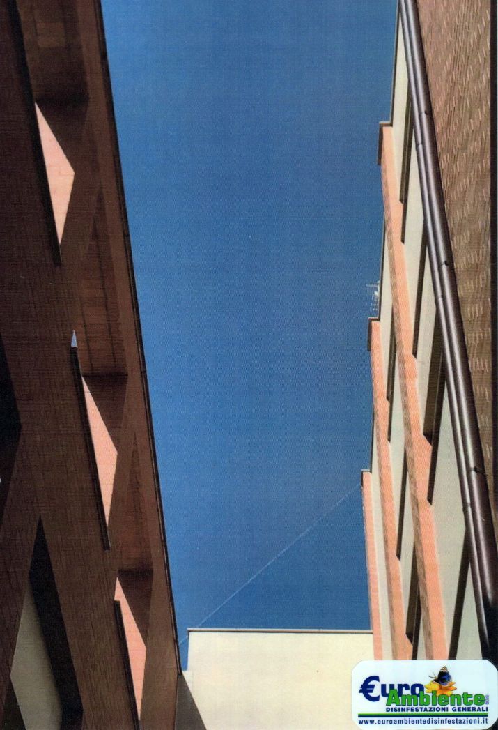 Dissuasore su edificio 6