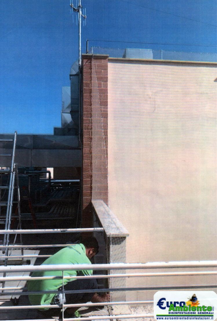 Dissuasore su edificio 4