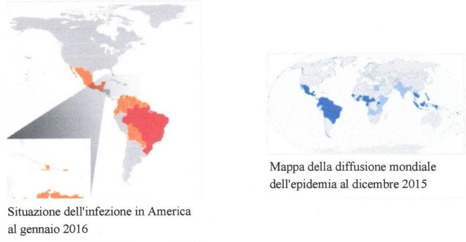 Diffusione Zika