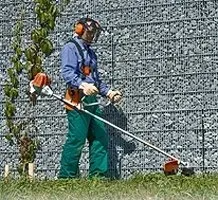 Un operaio utilizza un decespugliatore vicino a un muro e a un albero in una zona erbosa.