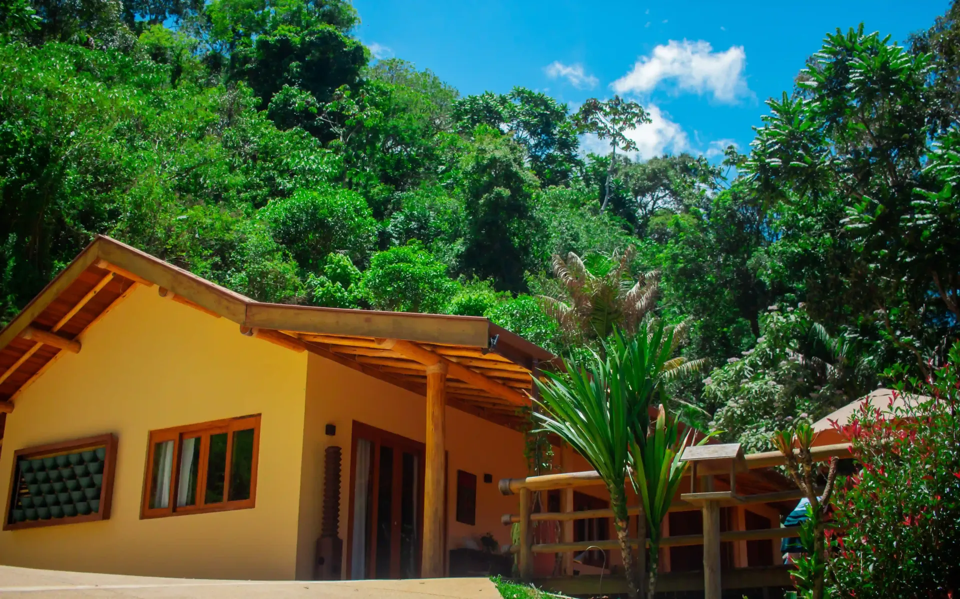 Uma casa amarela no meio de uma floresta verdejante-go-organic-club