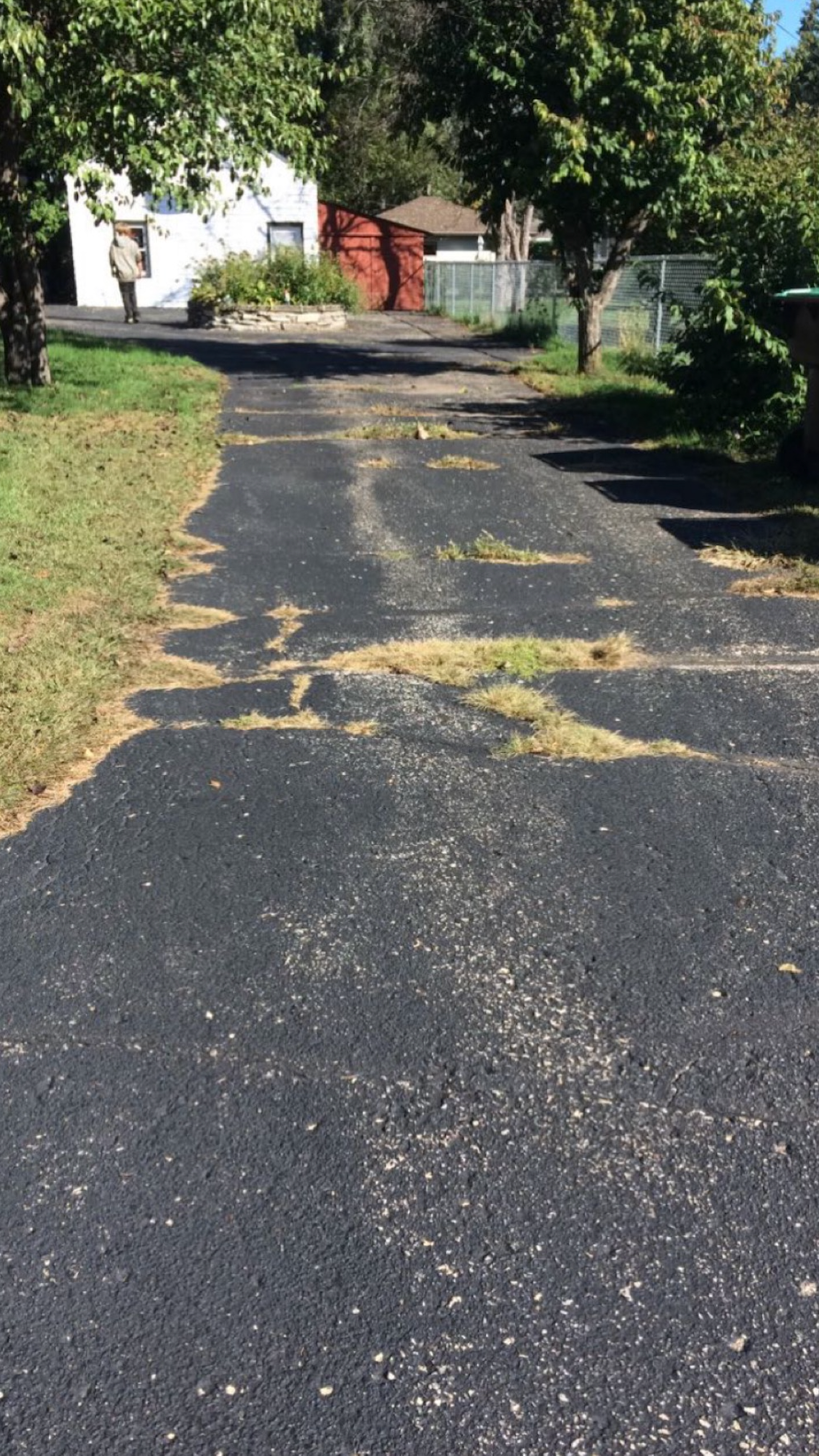 A very narrow asphalt driveway leading to a house.