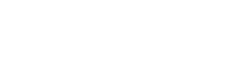 TrueGrid LLC