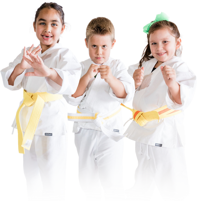 Benefits of Martial Arts Training for Adults - Premier Martial Arts