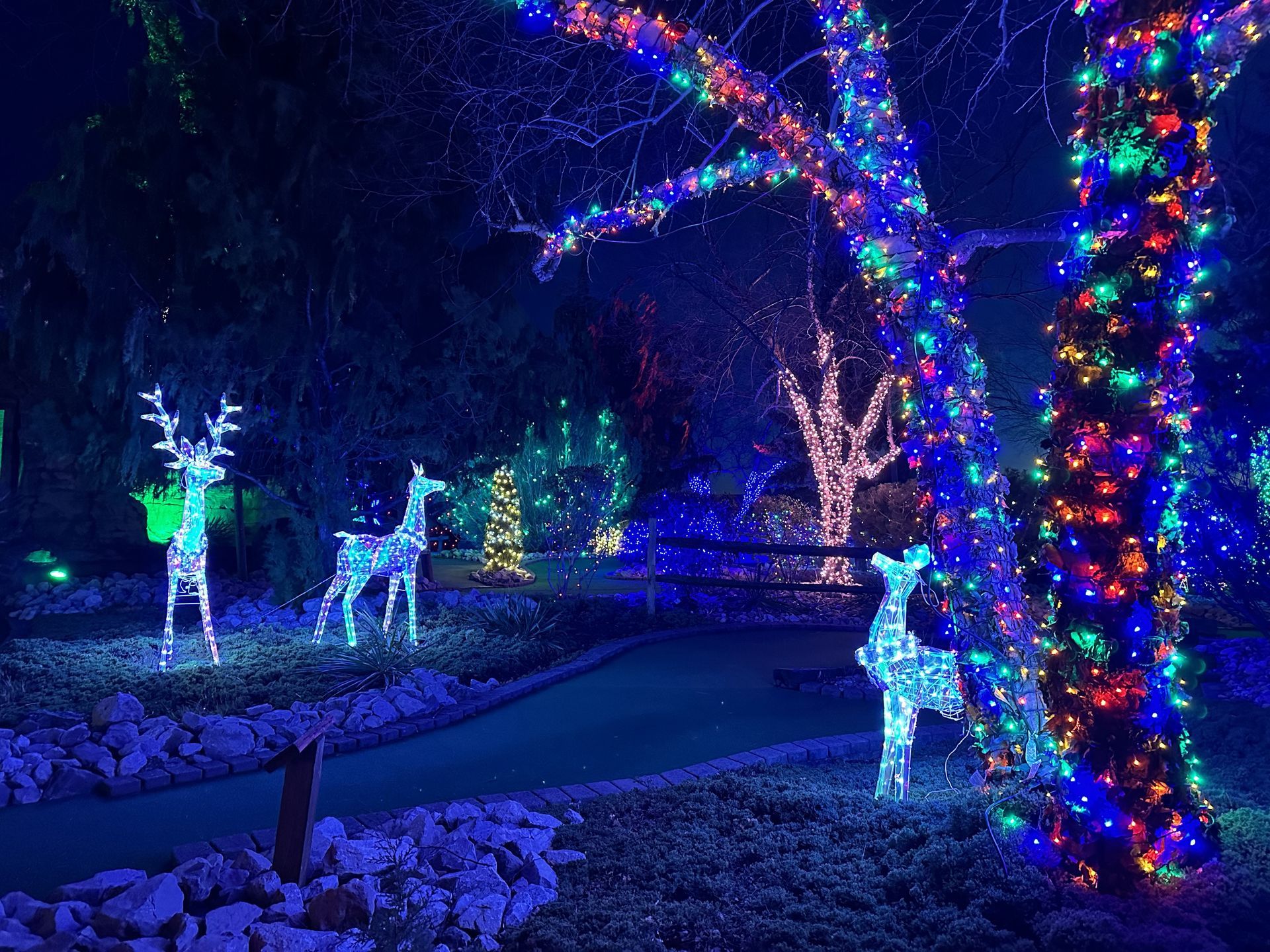 Winter Wonderland at Fast Eddie's in Port Clinton, OH