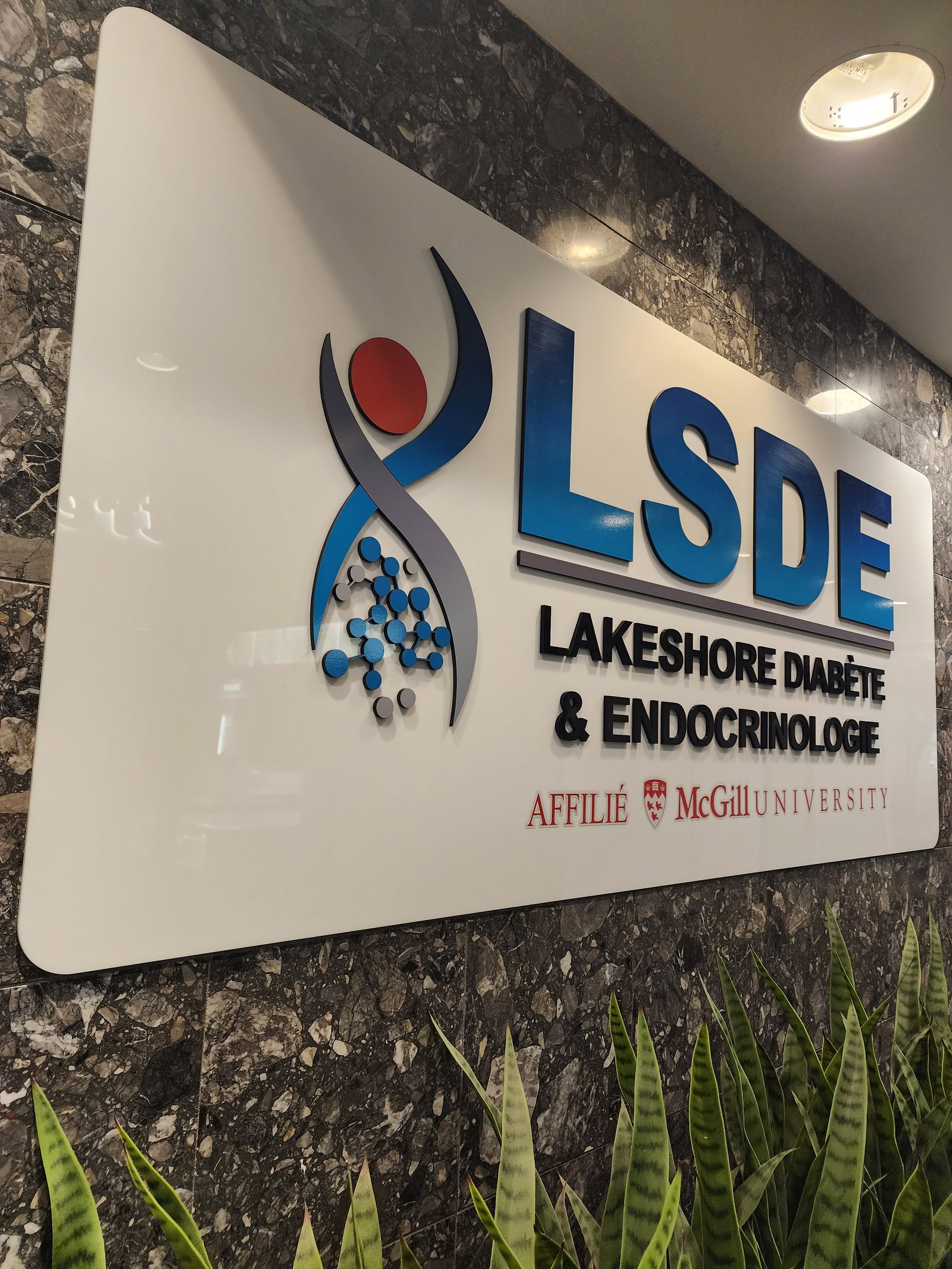 Panneau LSDE avec logo, bleu et blanc, sur un mur de pierre.