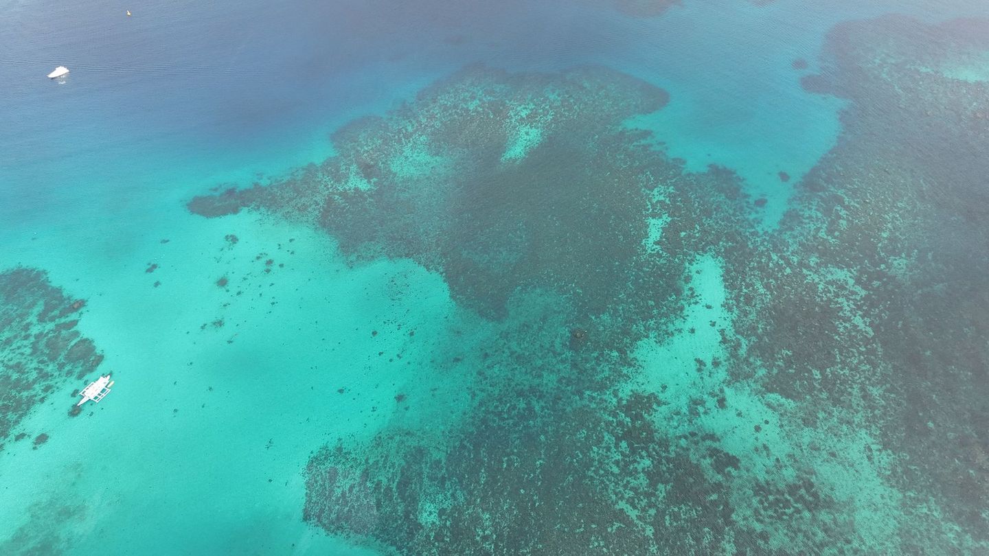 An aerial view of a coral reef in the ocean.