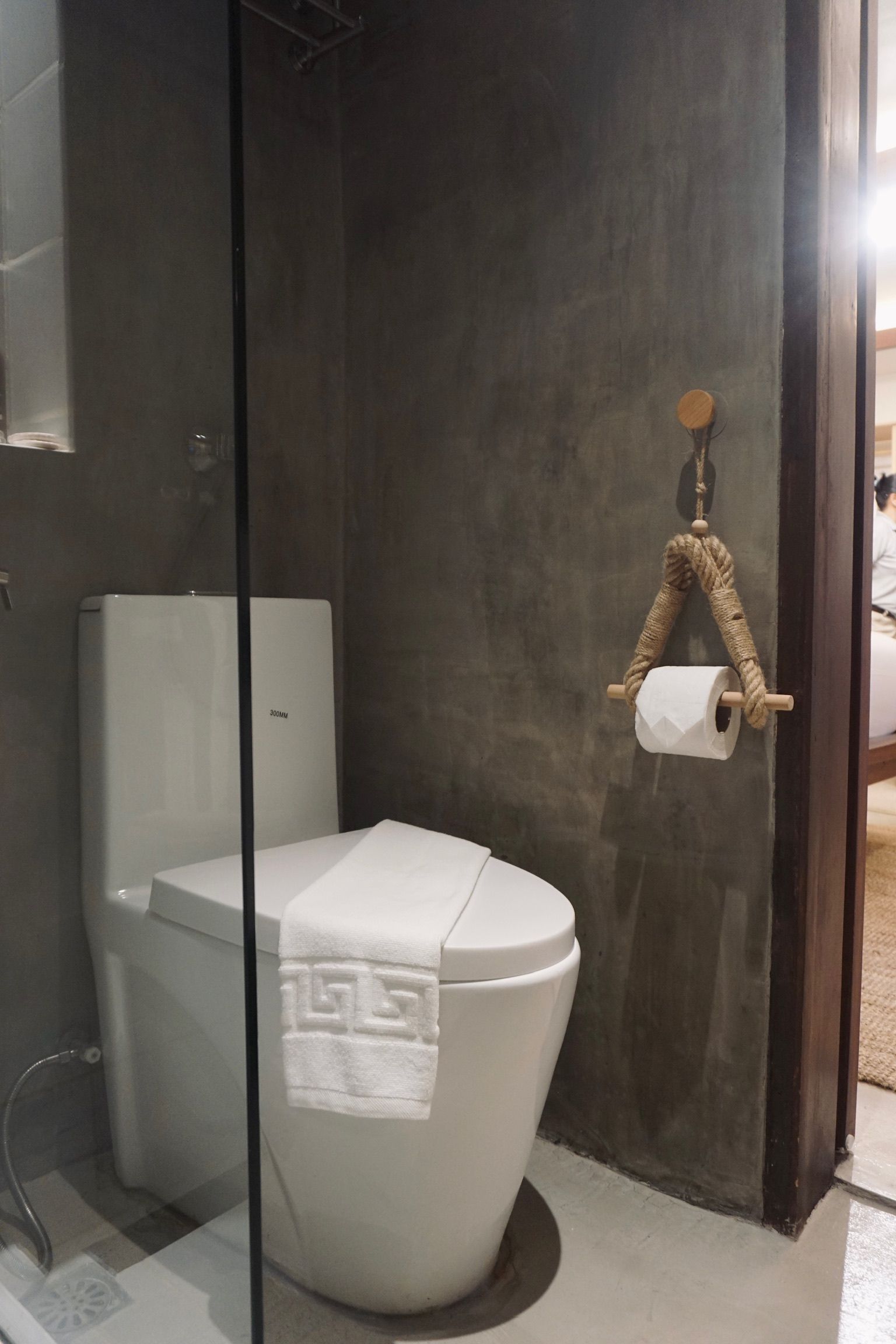 A bathroom with a toilet and a towel hanging on the wall.