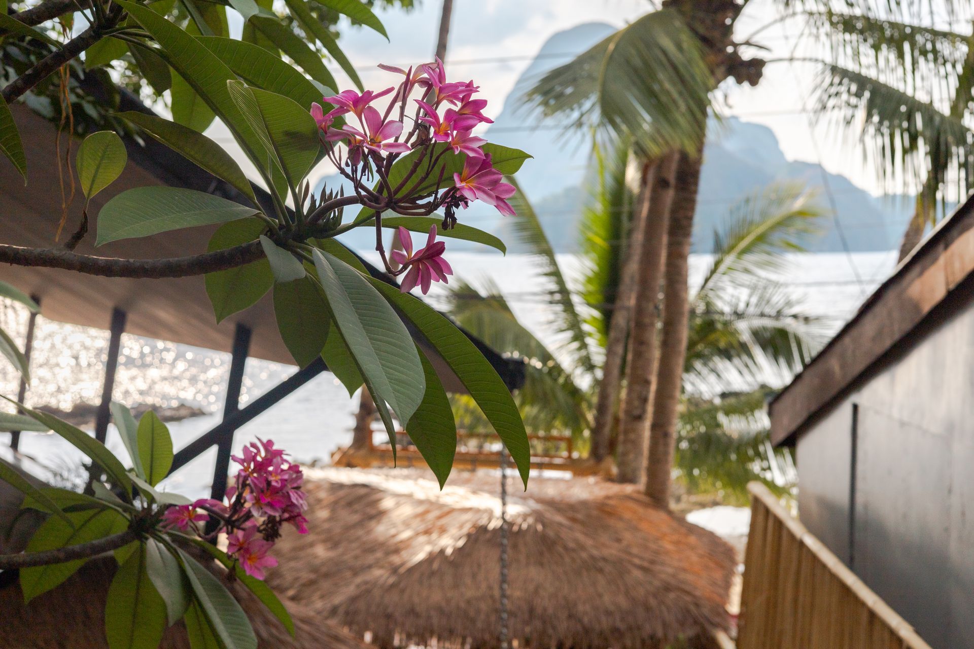 A pink flower is hanging from a tree in front of a thatched hut.