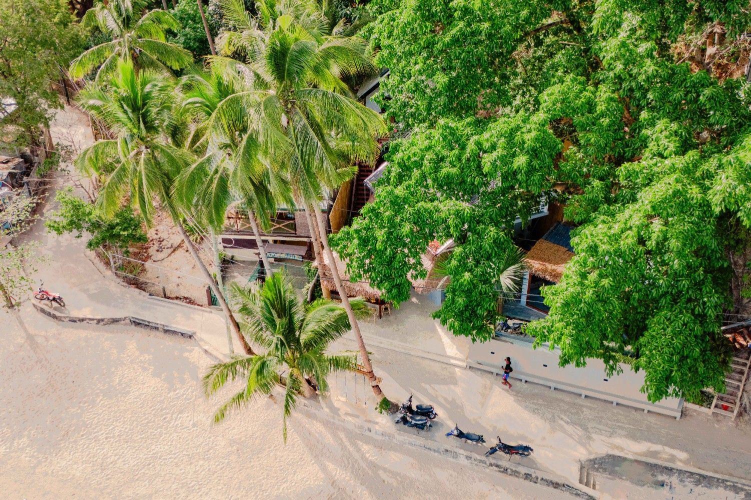 An aerial view of a beach with palm trees and a road.