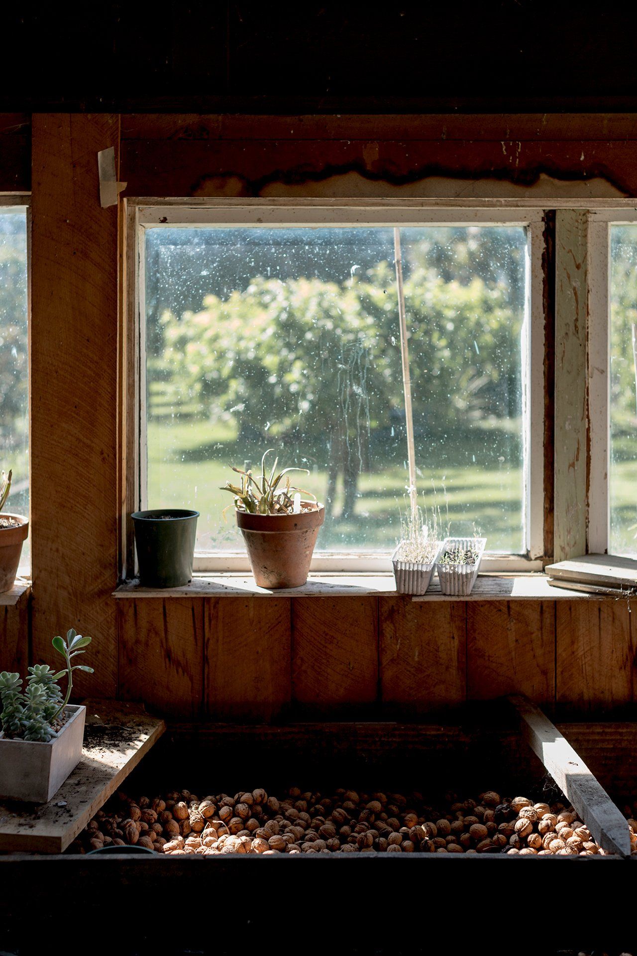 Welton House Gardens in Marlborough New Zealand