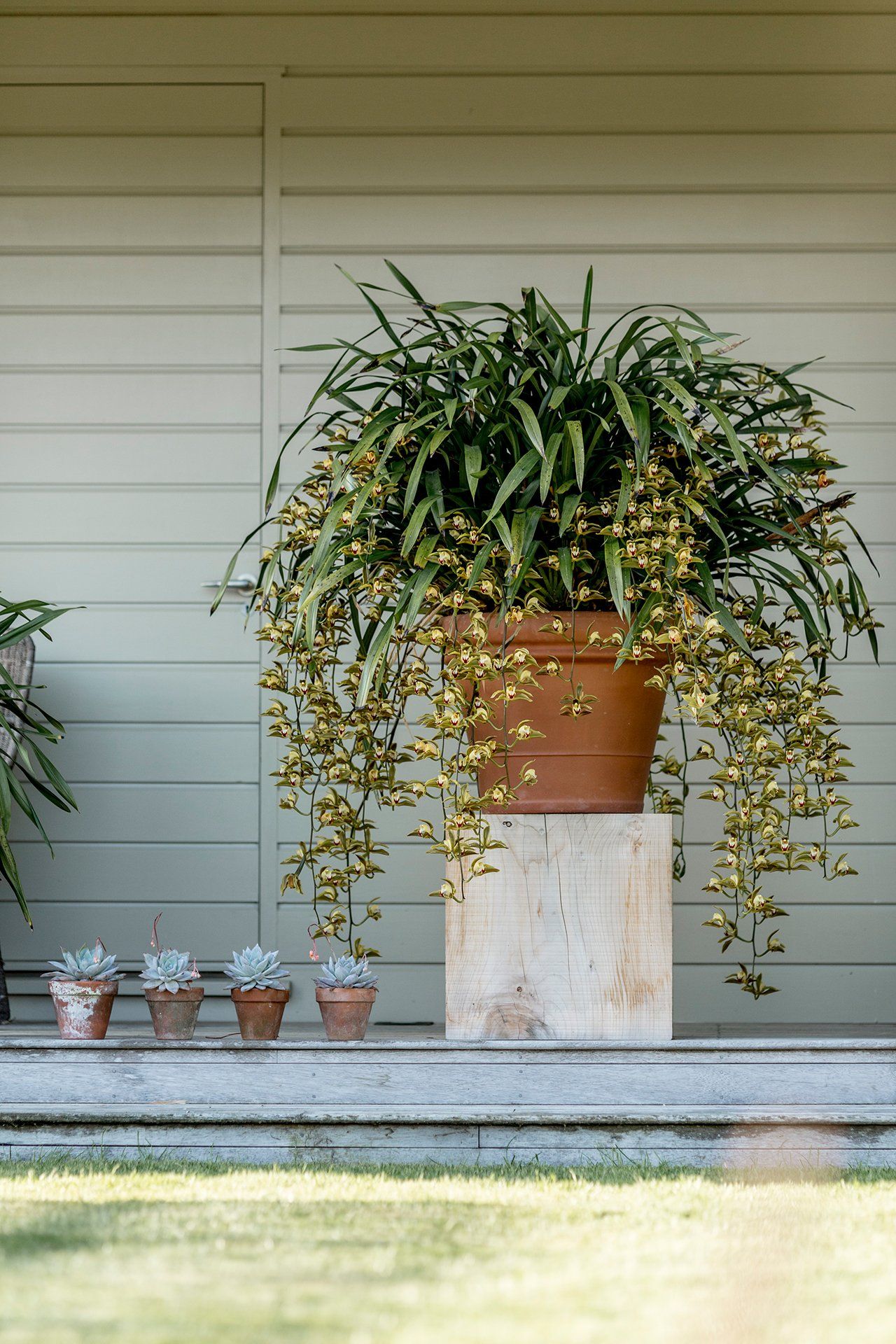 Welton House Gardens in Marlborough New Zealand