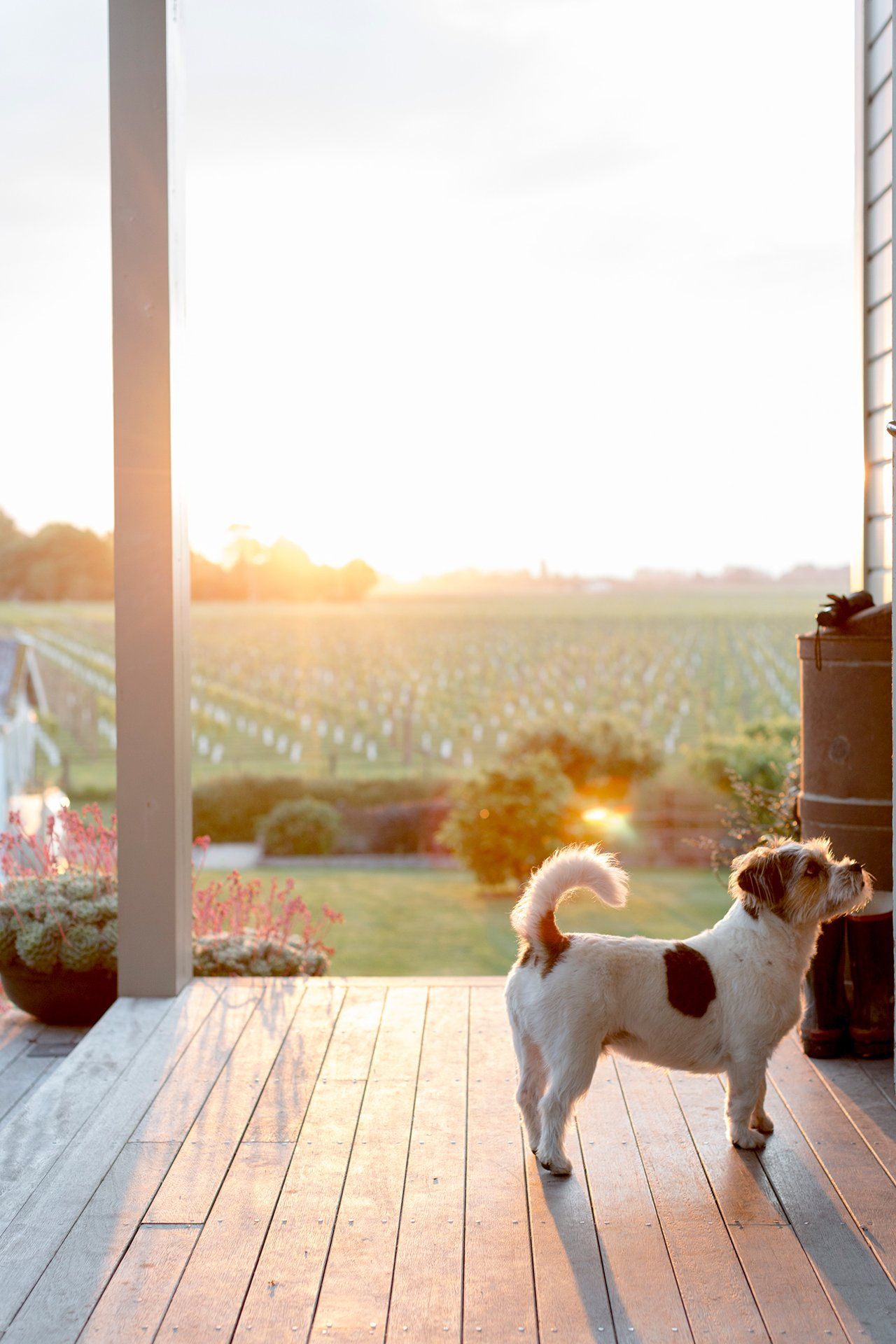 Welton House Gardens in Marlborough New Zealand
