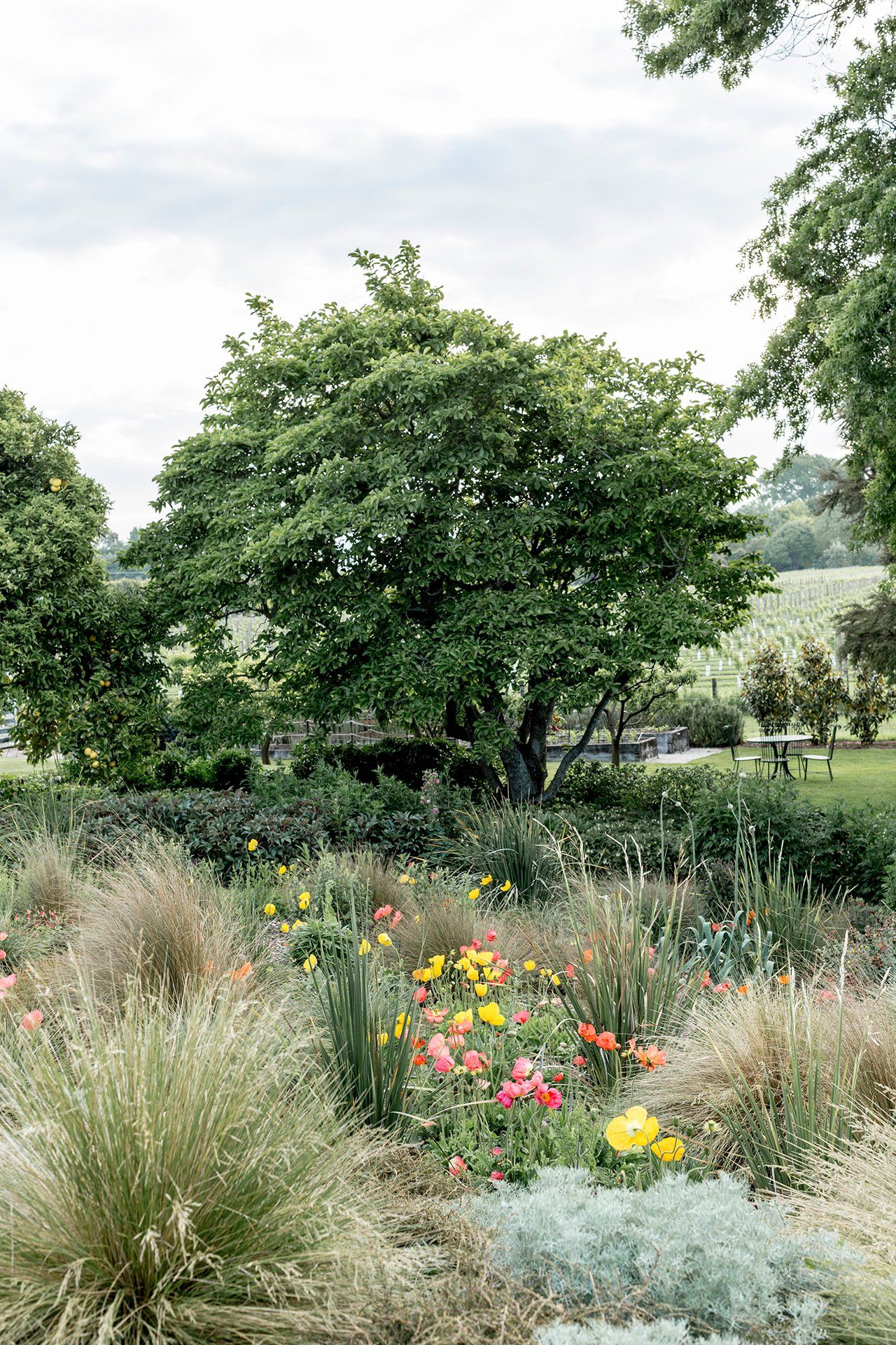 Welton House Gardens in Marlborough New Zealand