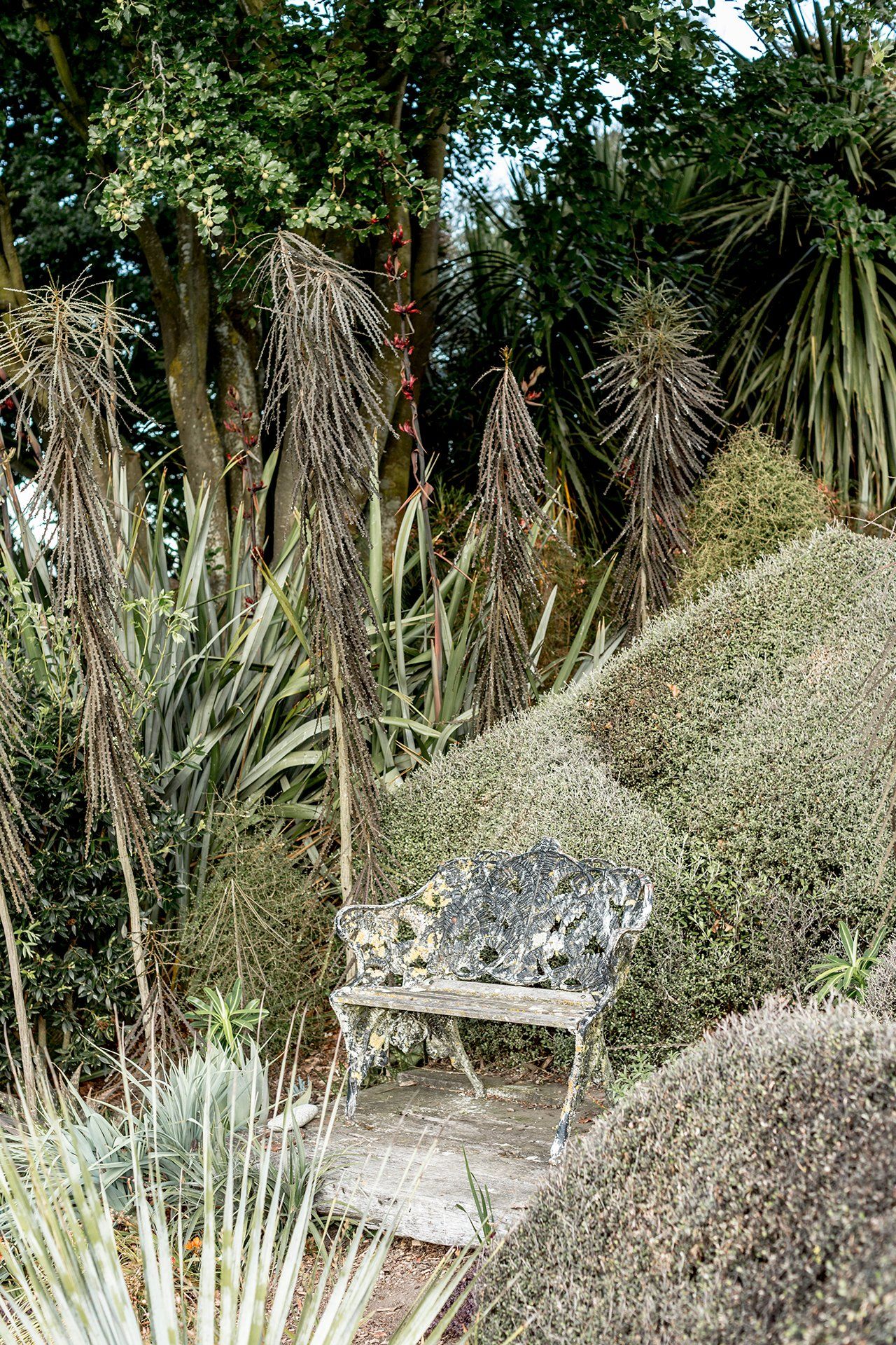 Welton House Gardens in Marlborough New Zealand