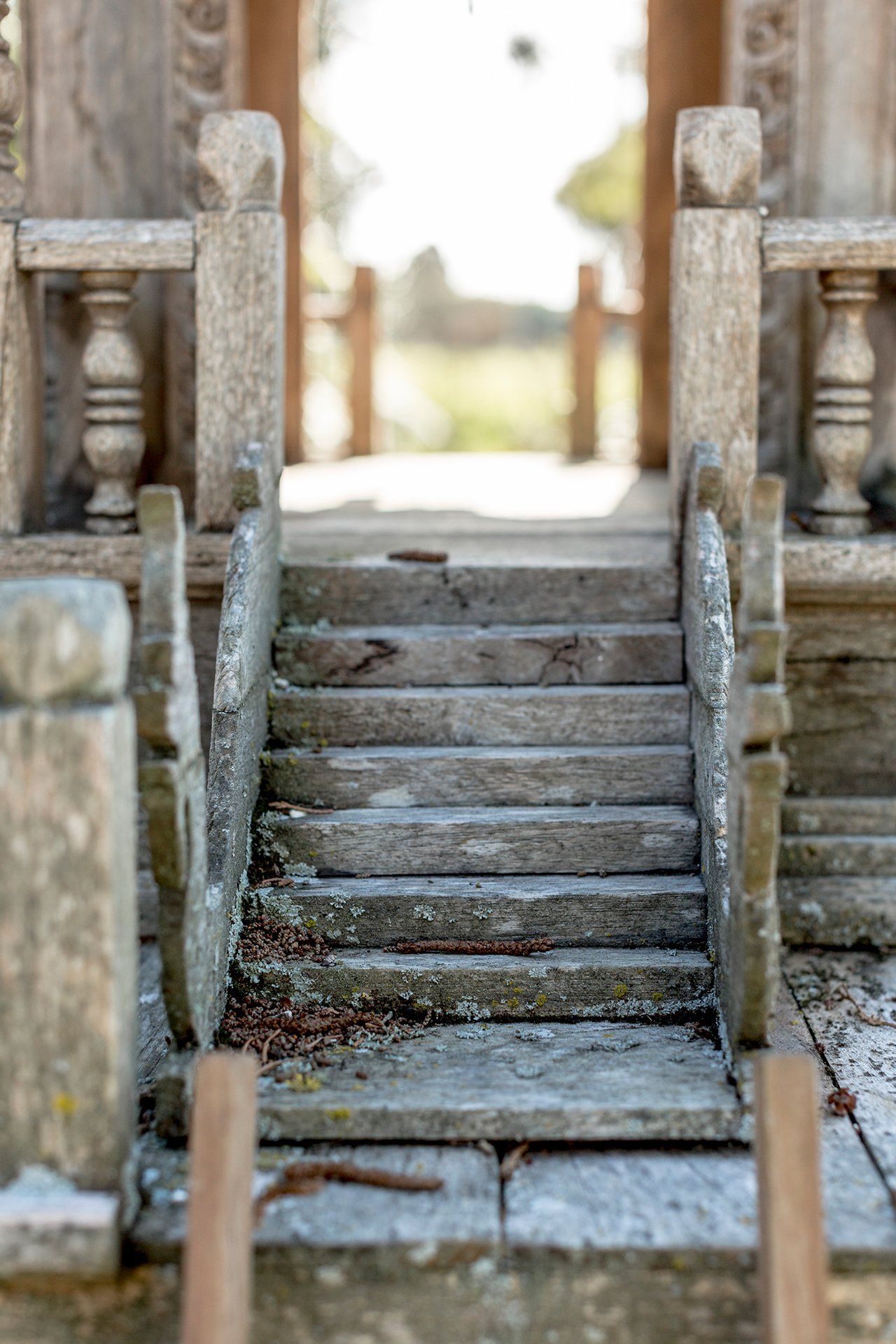 Welton House Gardens in Marlborough New Zealand