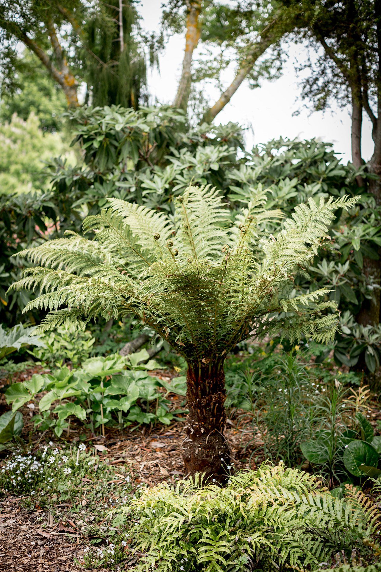 Welton House Gardens in Marlborough New Zealand