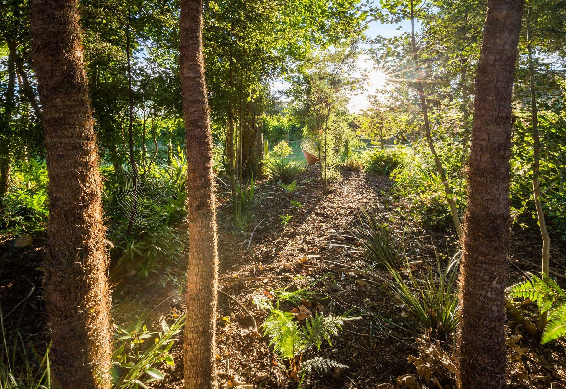 Welton House Gardens in Marlborough New Zealand