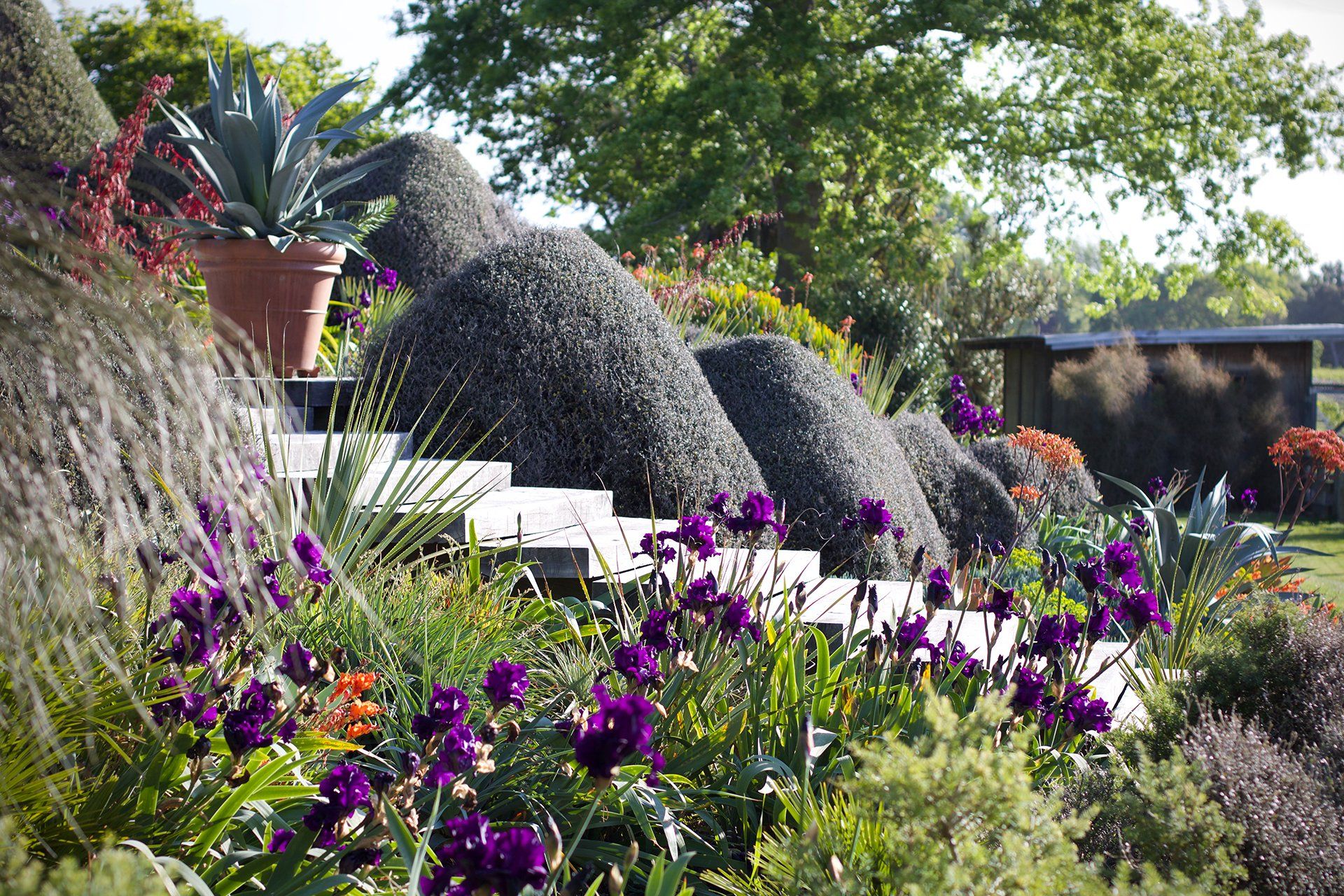 Welton House Gardens Marlborough, New Zealand Visit Us