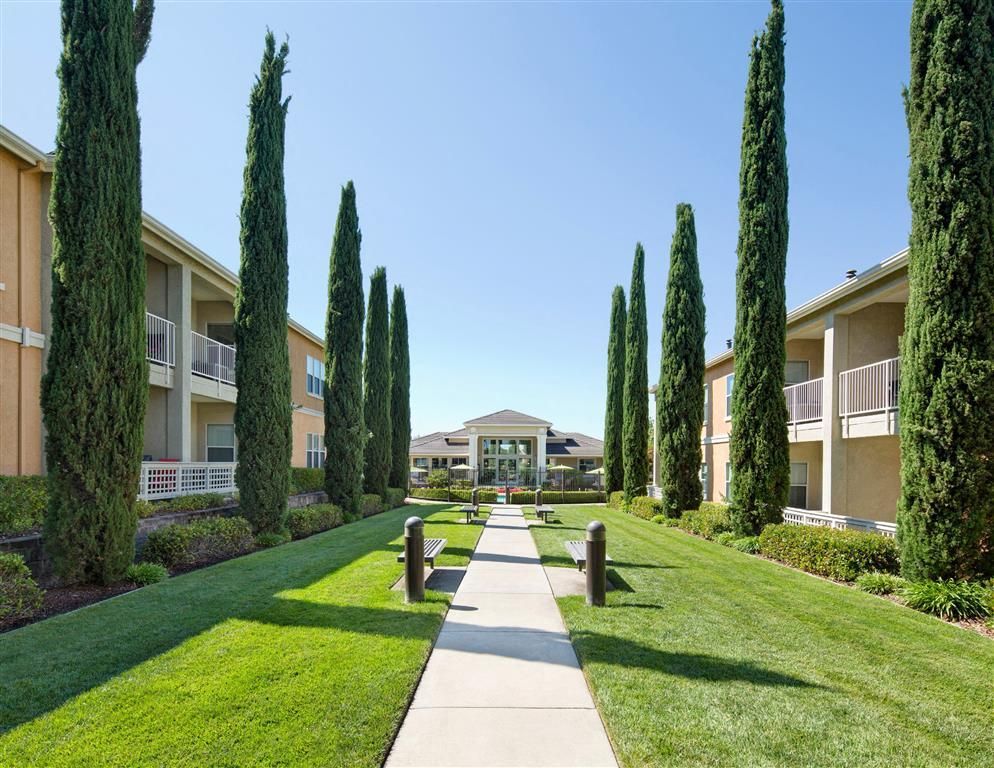 Pathway through a landscaped courtyard with tall evergreen trees between apartment buildings.