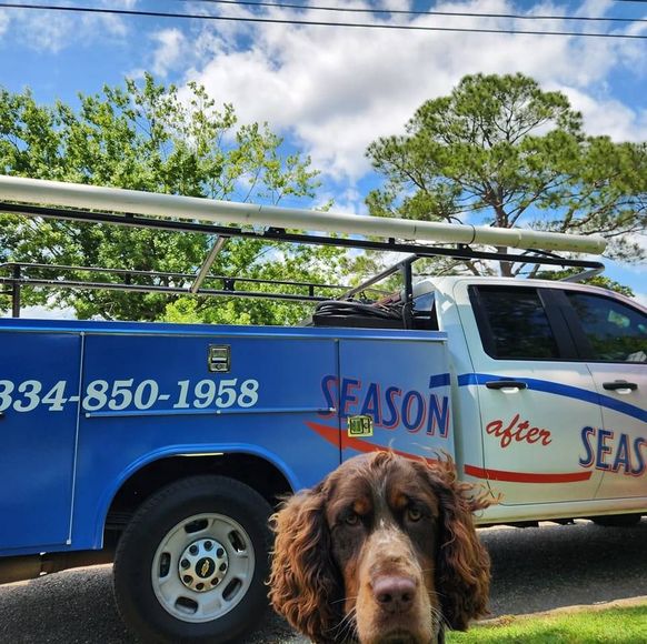 A dog standing in front of a truck that says season after seas