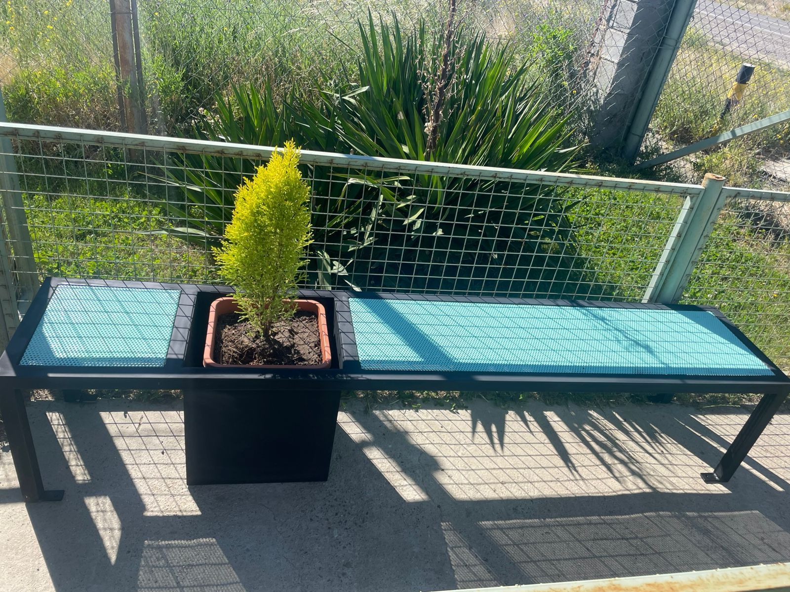 Banco con asientos tejidos de color verde azulado y una planta en una jardinera negra; al aire libre.