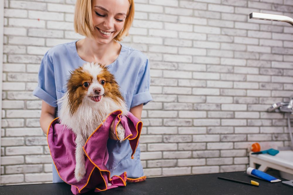 Woman holding a wet, fluffy dog after a bath, smiling. The dog is wrapped in a pink towel.