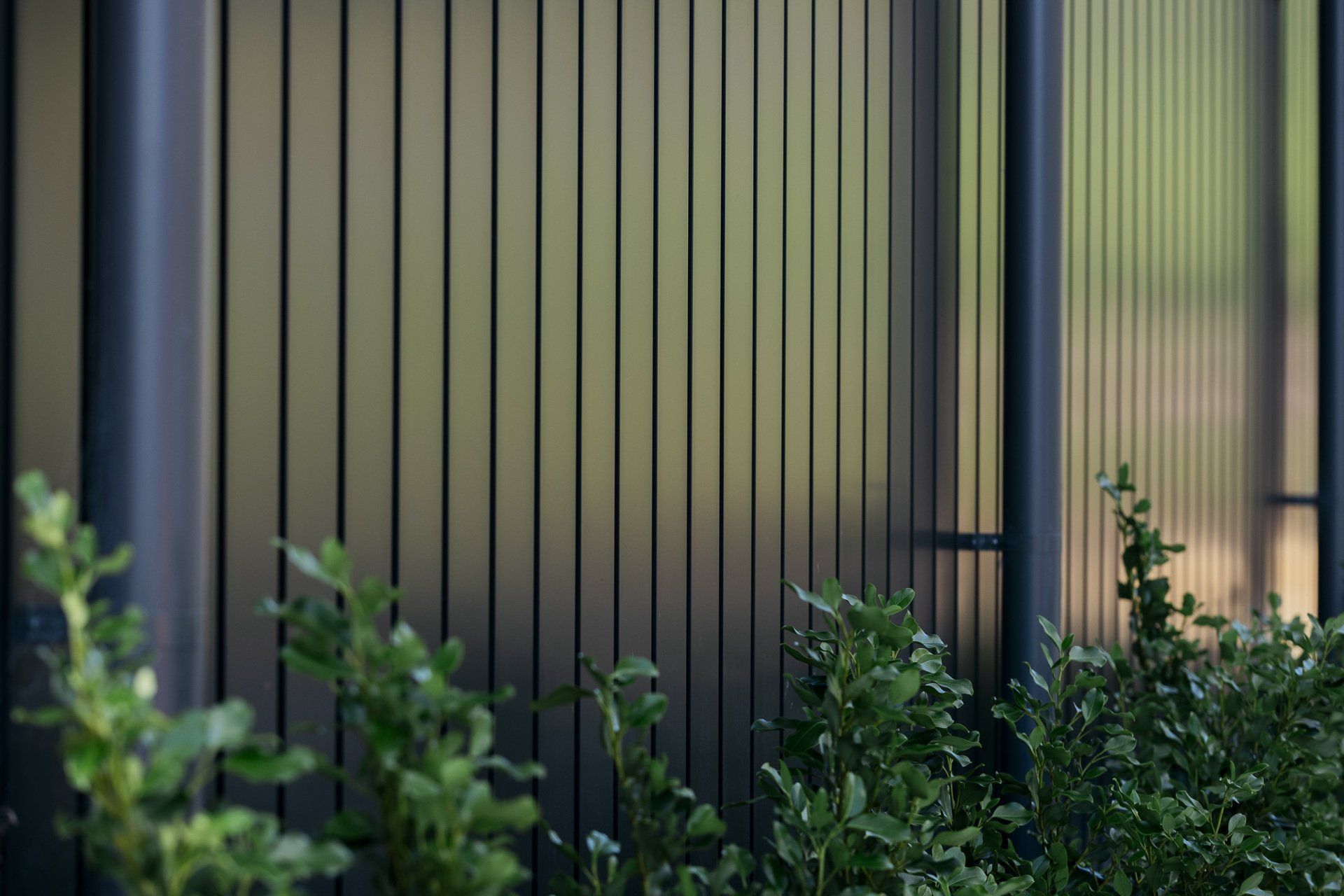 Black Coloursteel Cladding
