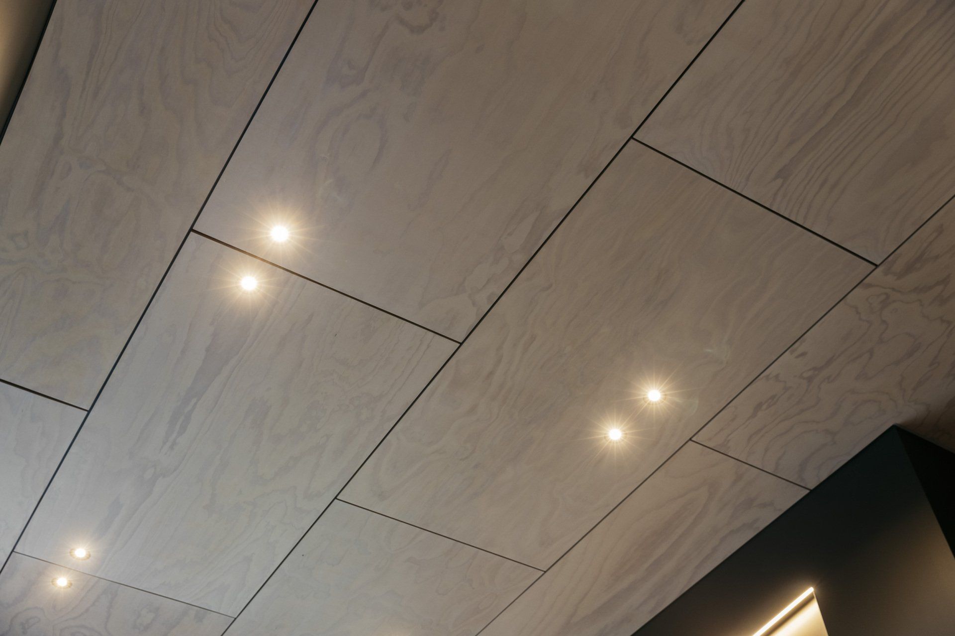 Feature Ply Ceiling with Negative Detailing
