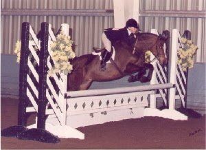 13.1 hh, 1997, Welsh cross mare