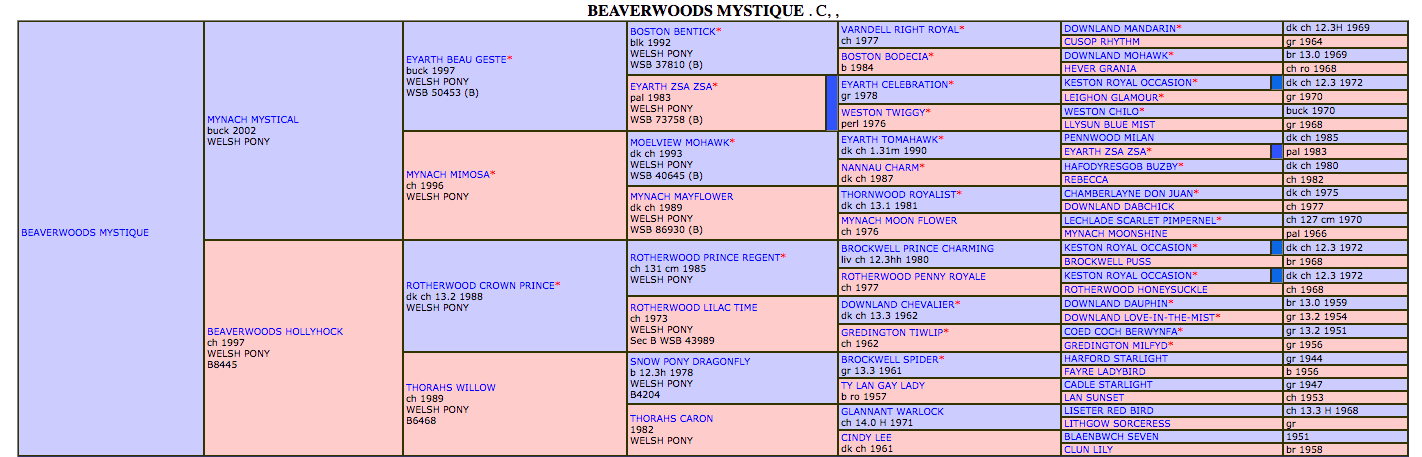 beaverwood mystique scoreboard