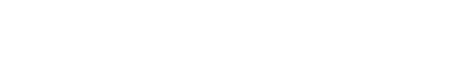 Savant Security