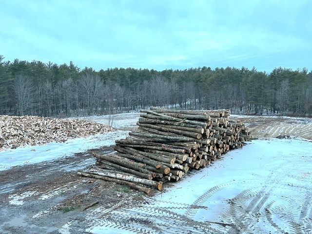 Welcome – Reed's Firewood -- Redefining Firewood in Maine