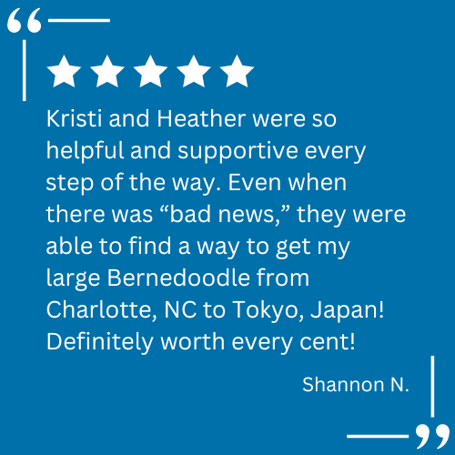 A client testimonial for pet relocation services provided by Continental Pet Relocation