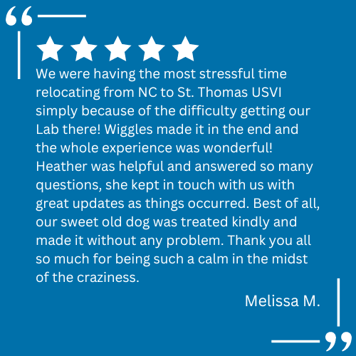 A client testimonial for pet relocation services provided by Continental Pet Relocation