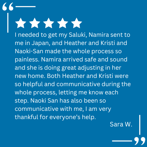 A client testimonial for pet relocation services provided by Continental Pet Relocation