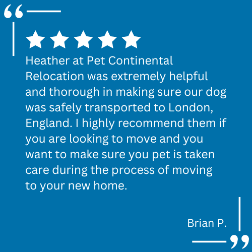 A client testimonial for pet relocation services provided by Continental Pet Relocation