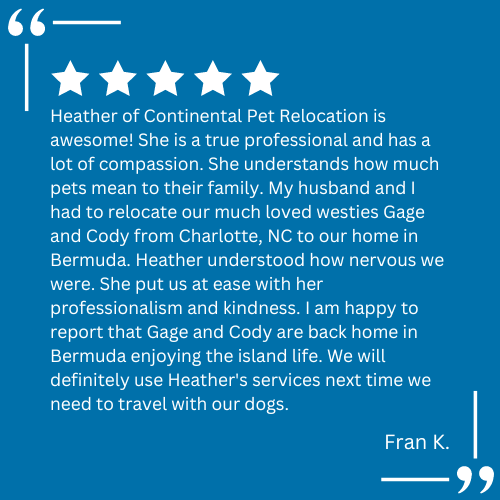 A client testimonial for pet relocation services provided by Continental Pet Relocation