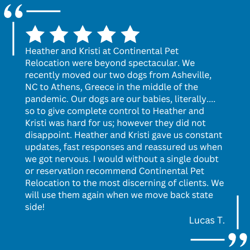 A client testimonial for pet relocation services provided by Continental Pet Relocation